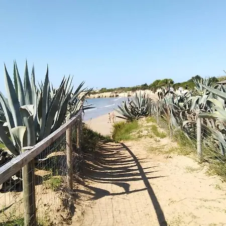 Diana * 이스피카