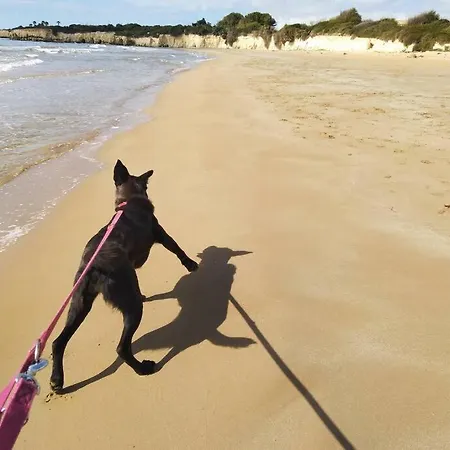 Diana 펜션 이스피카