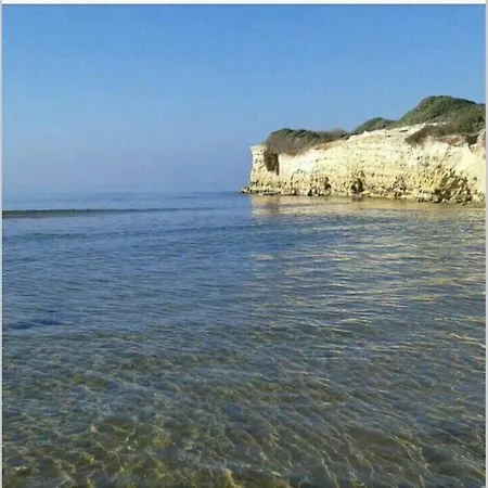 Diana Ispica
