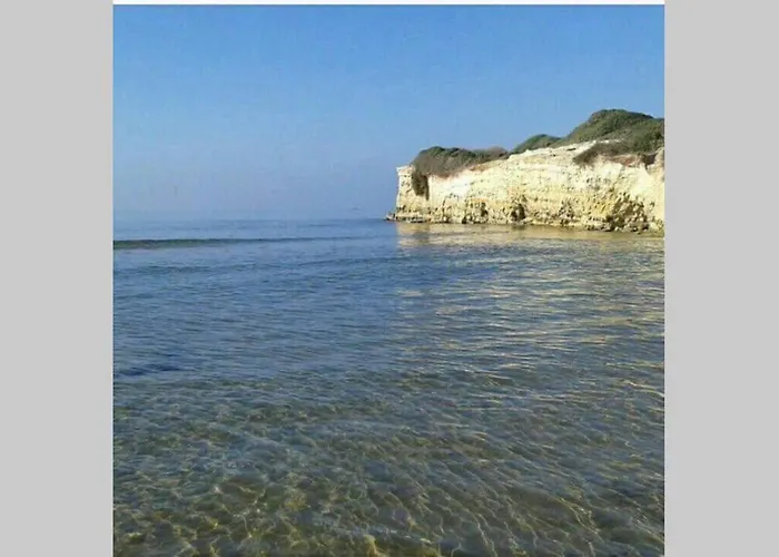 Diana Ispica